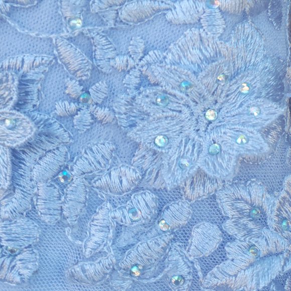 Xscape lace ball gown - Picture 4 of 13